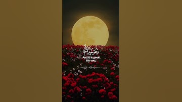راحة نفسية💕حالات واتس اب قران💕مقاطع دينية قصيرة آيات قرانية||ستوريات انستا#بدون_حقوق