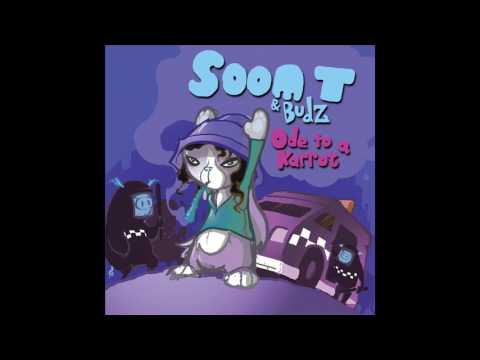 Soom T & Budz – Ode To A Karrot – 2 x Vinyl (LP, Album