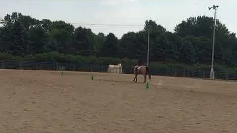 Betsy equtition