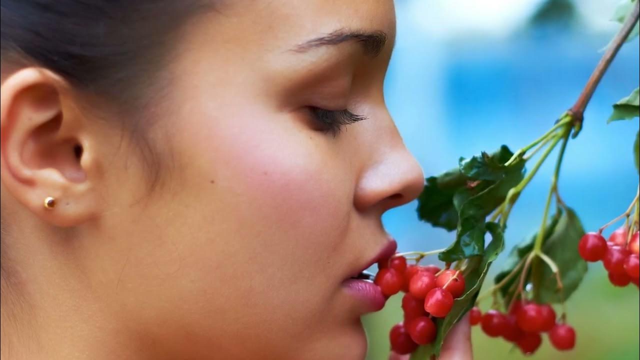 Красивая Женщина С Клубникой - стоковые фотографии и другие картинки 20-24 года
