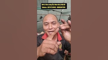 Hướng dẫn xử lý kềm bấm rút rive không bám đinh và không cắt