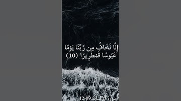 القارئ رزكار محمد الكردي | تلاوة خاشعة