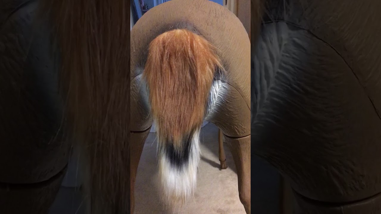 Testing the Come-Alive Tail-Wagger Motion Decoy Kit