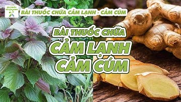 BÀI THUỐC ĐƠN GIẢN CHỮA CẢM CÚM - CẢM LẠNH