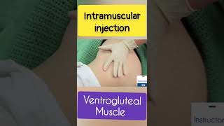 IM Injection in ventrogluteal muscle NCLEX RN| OSCE nursing| full video in playlist #rninstructor