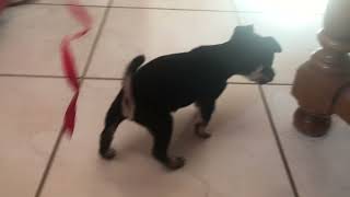 IMG 9452