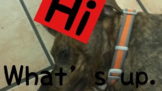 Ultra sci facility (Normal Insane) fe2 maptest Roblox mobile solo