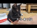 相変わらず側から離れません