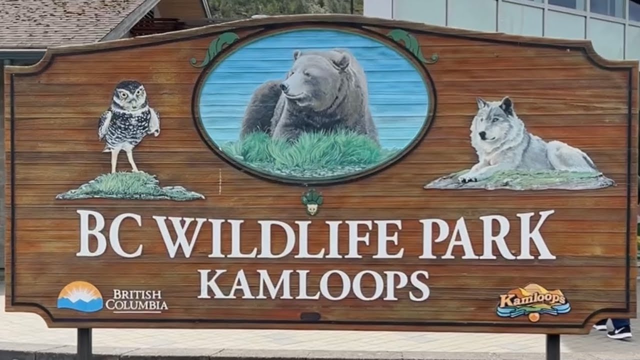 BC Wildlife Park Kamloops YouTube