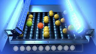 DeepScan Technology | AI by Multiscan