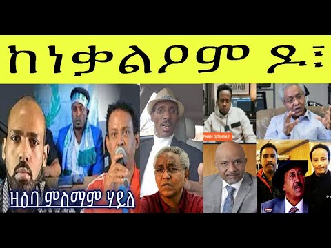 ዛዕባ ምስማም ሃይለ ደደቢት መርገጺ ኣልቡነት ደቂ ዓድና ኣብ ጉዳይ ኣብራር ዑስማን