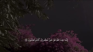 { لَا تَشتَرُوا بِعَهدِ اللَّهِ ثَمَنًا قَلِيلًا } ، عبدالرحمن مسعد سوره النحل 🤍.