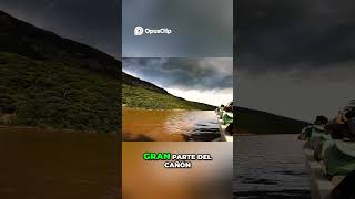 ¿Progreso o destrucción? ⚡️ vs 🌳 El dilema oculto del río Grijalva