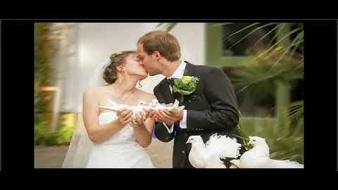 30 Promoyze Video Templates Bonus and Download by Andrew Darius - Explaindio LLC