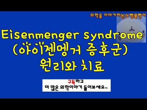 Eisenmenger syndrome(아이젠멩거 증후군) 원리부터 치료까지 증례분석