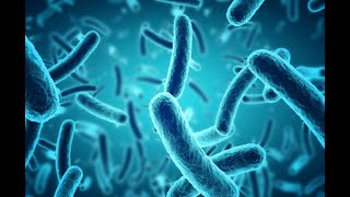 Introduction to Module 3: 2420.409 Pathology