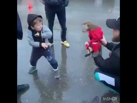 Хасбулла против Джимми 😂😂