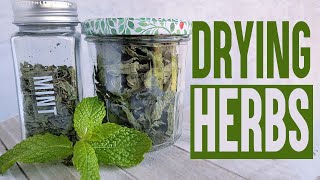 Drying Herbs  Dehydrating Mint and Thyme with a Sahara Folding Dehydrator Herb Feature