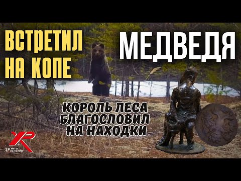 Чуть сердце не остановилось от встречи с медведем на копе! Но находки порадовали! Коп монет 2024.