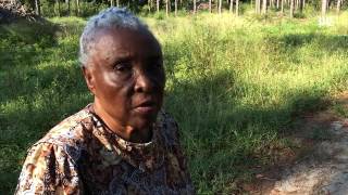For Edisto woman, slave cabin is more than an artifact #news