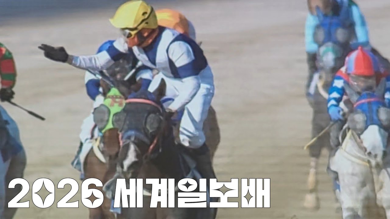여윽시 썩어도 준치!(2026 세계일보배 스피드영/ 조인권)#경마