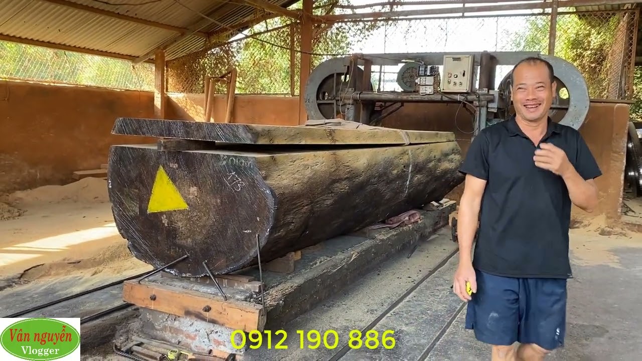 Xẻ cây gỗ lim tròn chất Olam được chiếu nghệ thuật đẳng cấp - Gặp gỡ bác thợ mộc làng nghề Đông loan