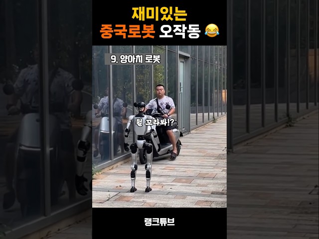 재미있는 중국로봇 오작동