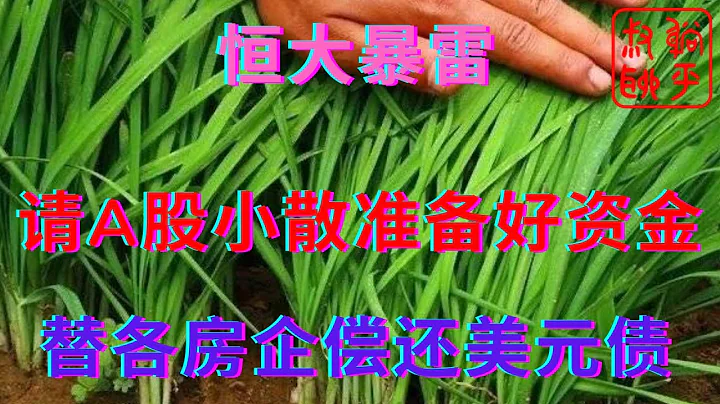 恒大暴雷之请A股小散准备好资金替房企偿还美元债||农民的宅基地不要被忽悠掉了||躺平叔聊房地产 - 天天要闻