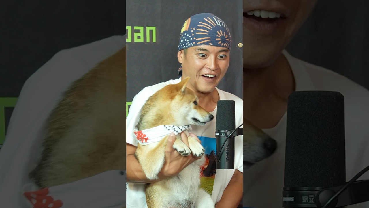 Wan Wan Woof  @KantarowalkaroundJapan  #learnjapanese #japaneseculture