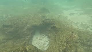 Snorkeling June 2025