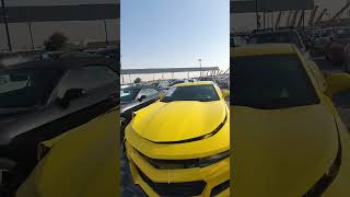 (Дубай) цены автомобилей на аукционе Нукба