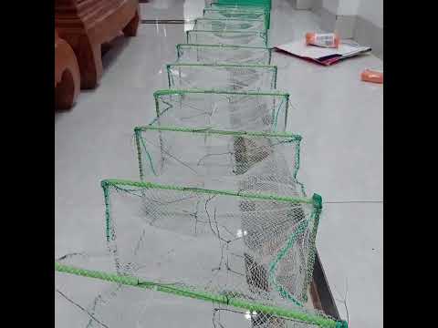 Video #lưới bát quái 29 khung ,đuôi trã ,thân 1 phân... - youtube