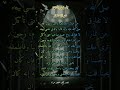 السعادة والشقاة عند الاحتضار السعادة والشقاة عند الاحتضار