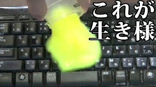 【奇跡】普通のスライムでキーボード掃除できるのか？