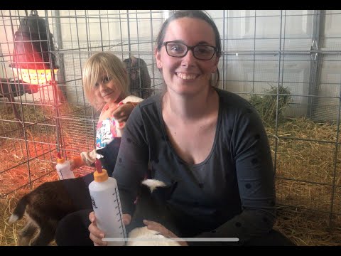 How To Bottle Feed Goat Kids