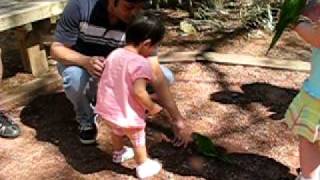 MVI_4209.AVI