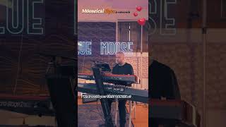 Blue Moose #weddingband - Mooseical Bytes - Lonestar Cover