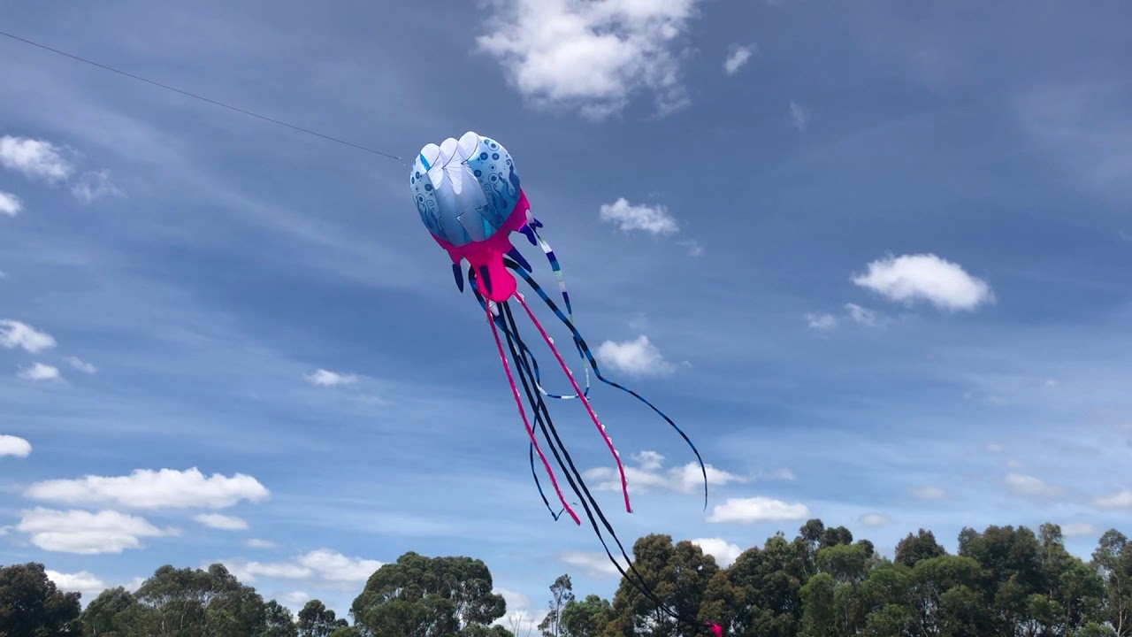 Blob Marley Jellyfish Kite