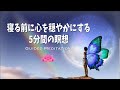 【誘導瞑想】寝る前に心を穏やかにする5分間の瞑想｜アファメーション