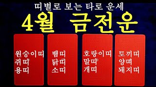 [타로] 2024년 갑진년 4월 한달 금전운 대박나는 띠별운세! 주역타로카드 리딩으로 확인해보세요! #띠별운…