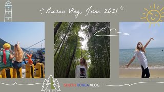 Haeundae, Gamcheon Village, Bamboo Forest & moreㅣ?? Busan VLOG 