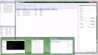 Label Variables and Categories in STATA