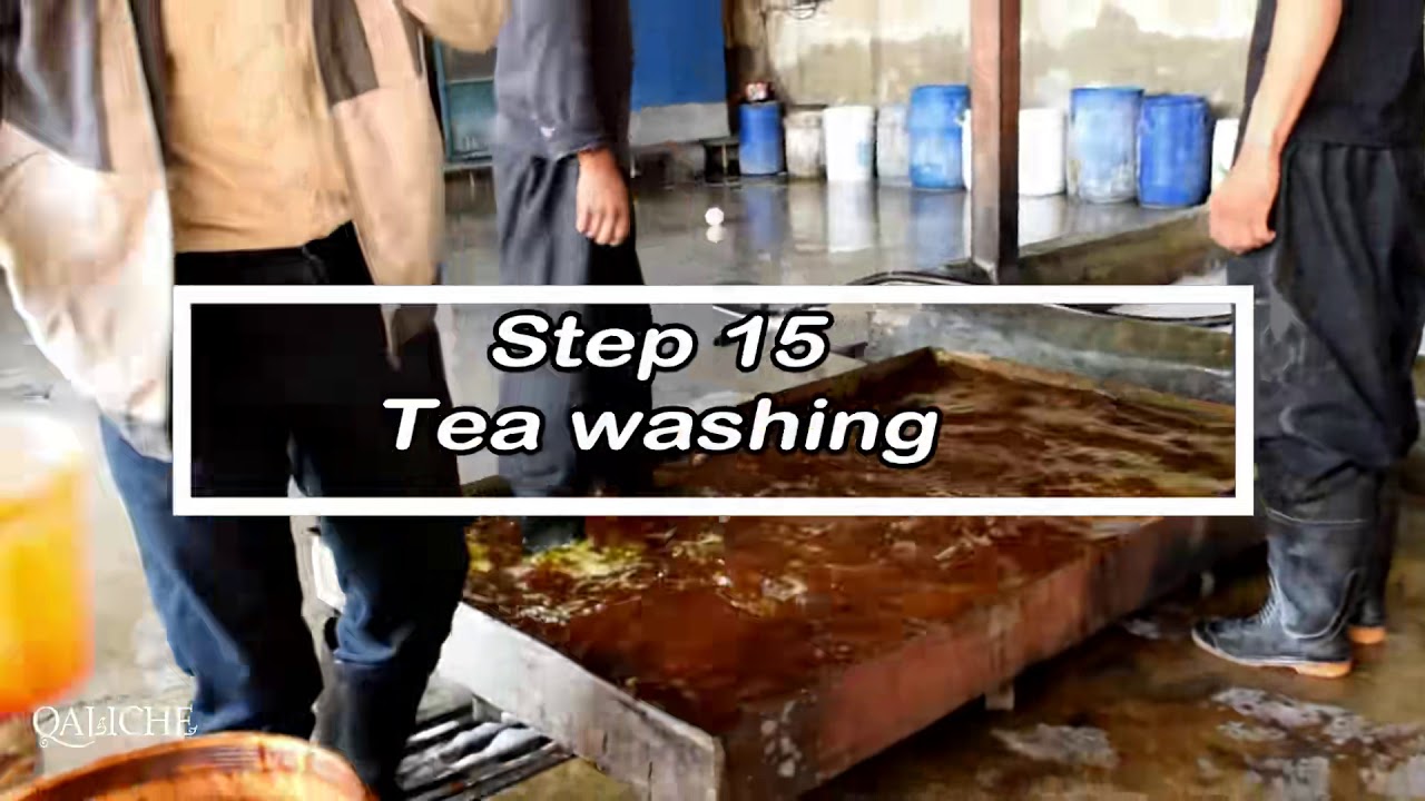 wahshing carpet steps