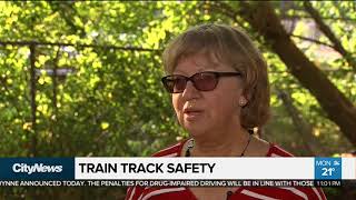 Agincourt Community Raises Concerns About Increased Go Transit Service