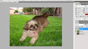 Change Background in Photoshop CS5