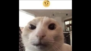 GETTING REAL STREAM PT. 13.5
