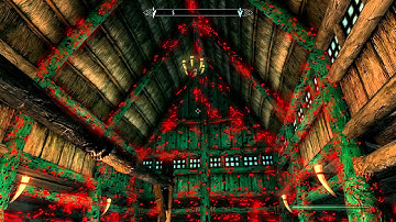 Skyrim - Graphic bug