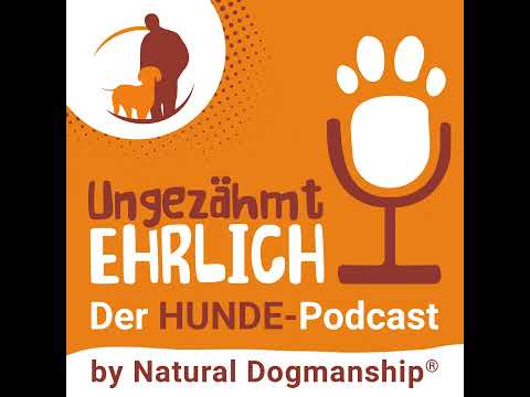 Wenn dein Hund plötzlich anders ist - Pubertät beim Hund