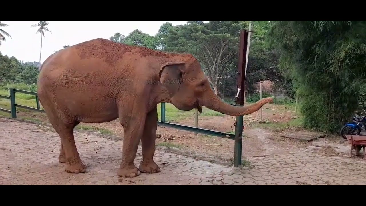 lembah hijau bandar lampung