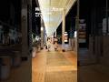 4K Night Walk: Special Live Event Energy & Vibrant Niigata City #DJIOsmoPocket3 #Japan #NightWalk